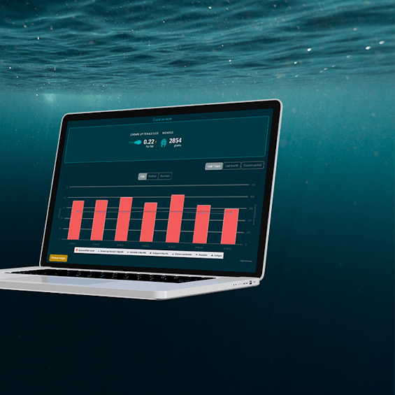 Fiskevelferd_header